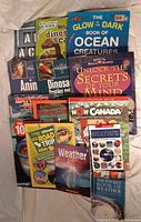 Top-down view of the assorted kids reference books fanned out on fabric background, showing colorful covers including ocean creatures, dinosaurs, weather, and more.