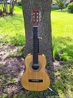 Full front view of the acoustic guitar standing outdoors against a tree, showing the entire body and neck.