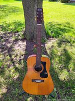 Full view of the Dana vintage left-handed acoustic guitar against a tree.