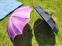 Photo shows two vintage parasol umbrellas positioned open on grass: one with a purple gradient canopy, the other black, both with carved wooden curved handles and wooden shafts.