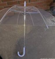 Open clear bubble umbrella with white plastic handle and metal shaft, showing dome-shaped transparent canopy with 16 ribs.