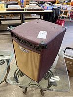 Front three-quarter view showing amplifier cabinet, controls and grille