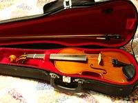 Violin and bow inside open soft case