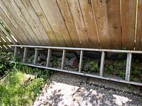 Aluminum extension ladder lying on the ground next to a wooden fence with greenery around.
