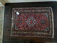 Full view of hand-knotted Oriental rug with central diamond medallion, geometric and floral design on dark background.