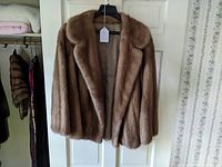 Front view of the mink fur coat hanging on a hanger showing its soft brown fur and classic collar style.