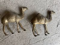 Photo showing the full pair of brass camel figurines with detailed engravings on a rough surface.