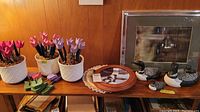 Table displaying three white ceramic pots with pink and purple wooden tulips, three ceramic duck figurines, a round decorative plate, and two framed prints in background.