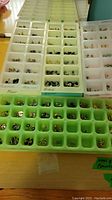 Photo of white and light green compartment organizers with assorted women's stud earrings sorted by color labeled as mauve, pink, black.