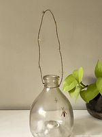 Full view of the glass wasp trap hanging by its wire handle next to a plant.