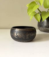 Side view of dark metal Tibetan singing bowl with gold-colored embossed script symbols around the outside, positioned next to a green plant.