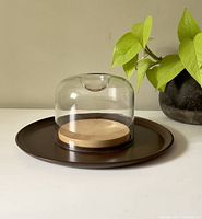 Full view of Pyrex domed cheese plate with clear glass dome, wooden base center, and dark brown plate surface.