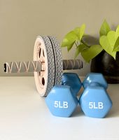 Photo showing ab roller with textured wheels and pair of blue 5LB dumbbells on white surface near green plant.