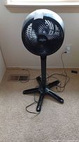 Full view of the black Vornado floor fan standing on carpeted floor against a wall, showing fan head size relative to pole and base.