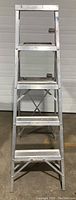 Front view of 5-step aluminum ladder showing steps and structure.