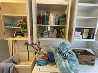 View of cabinet with multiple cleaning liquids, sprays, and household items including large water jug and paper goods on laundry sink.