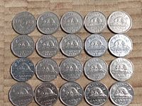 Photo showing the twenty Canadian five cent coins laid out in rows, front side visible displaying the beaver design and dates.