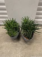 Two oval grey plastic planters with green faux succulents of varying lengths and species, shown on concrete floor.