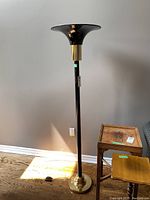 Full floor lamp showing black pole, brass base, and wide flared shade top