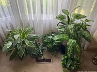 Four potted faux plants with various leaf shapes and colors sitting by window with sheer curtains.