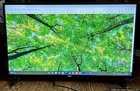 Front view of RCA 39-inch LED TV/monitor powered on displaying a nature scene with trees and green leaves.