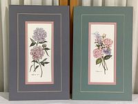 Wide view of both floral prints side by side, double matted in different pastel color frames, showing overall condition and color scheme