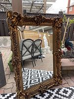 Full frontal view of the rectangular mirror leaning against a fence outdoors on patterned rug
