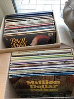 Box containing vinyl albums stacked vertically showing Paul Anka album cover with worn edges and spines of other records