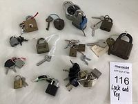 Overview photo showing all 15 assorted locks and keys arrayed on white background with lot number card.