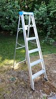 Side angle view of the aluminum step ladder standing on grass with trees in background.