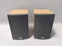 Front view of both speakers installed with metal grilles
