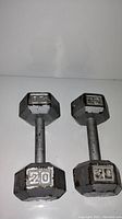 Two 20 lb cast iron hex dumbbells side by side on white background showing overall condition.