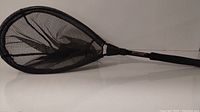Photo of black mesh net with telescoping handle showing its shape and netting condition.