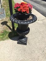 Full view of black cast iron urn sitting outdoors on sidewalk with flowering plant in top.