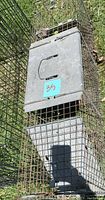 Varmint catcher wire cage with solid metal door showing latch mechanism, used condition