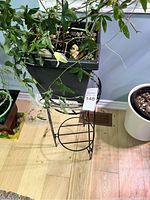 Close-up of the passion flower plant in black plastic pot on the black metal stand.