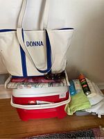 Full overview of all items in the lot including tote bag, cooler, towels, and personal care products