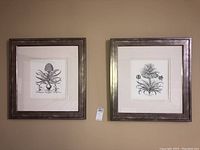 Two framed botanical prints in metallic silver frames hanging on wall.