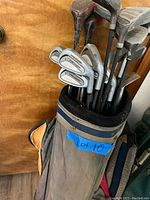 Full view of the golf bag filled with various golf clubs including irons and woods