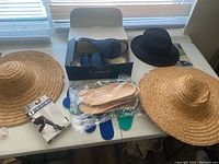 Photo showing the shoes and accessories lot including straw hats, a black fedora, blue sandals in box, hosiery, and foot liners.