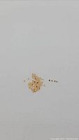 Multiple small round yellow sapphire loose stones clustered together on a neutral background.
