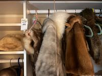 Lighting showing multiple fur scarves or ponchos hanging on a clothing rod with mix of brown, white, and grey colors.
