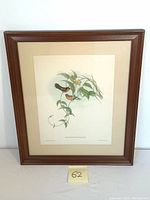 Framed vintage bird lithograph showing the full framed artwork with wood-tone frame and cream matting.