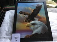 Front view of framed 3D eagle picture showing two bald eagles against a sky background.