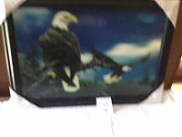 Front view of framed 3D picture showing a bald eagle perched on a branch, set against a blue sky background.