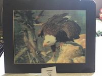 Framed color print depicting a bald eagle perched on a rock near a tree and water, with visible foam mat border.