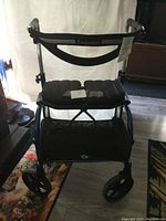 Front view of Evolution walker showing padded seat, backrest with logo, and carry bag beneath the seat.