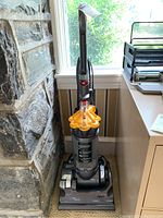 Front view of Dyson DC33 vacuum cleaner showing the full upright body, dustbin, handle, base, and cord wrapped around the side.