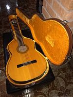 Citation Model 615 acoustic guitar inside open plush-lined hard case
