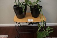 Maple wood top with two black pots with plants, black metal base with decorative scroll work, set on a wood floor